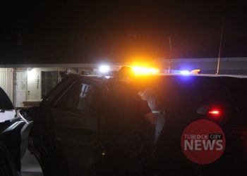 Man Arrested After Becoming Confrontational With Officer During Traffic Stop and Slapping His Hand Away