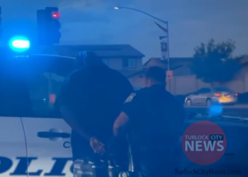 Man Arrested After Shoplifting From Famous Footwear, Handgun and Stolen License Plate Also Found