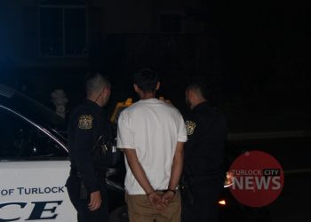 Two Intoxicated Teens Involved in Collision, Driver Arrested and Passenger Slapped by Mother