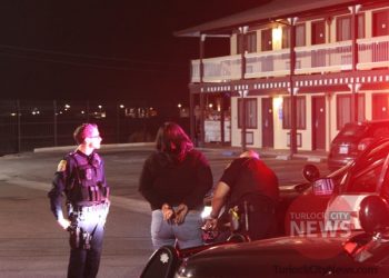 Woman Arrested on Four Misdemeanor Warrants During Traffic Stop, Including Child Abuse One