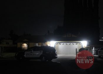 Woman Hears Loud Noise and Reports Someone Possibly on Roof, Police Launch Drone and Find Cat