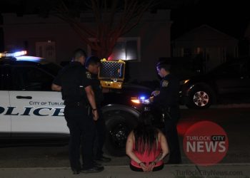 Drunk Woman Arrested After Being Involved in Collision, Throws Tantrum and Refuses To Cooperate With Officers