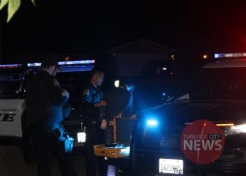 Drunk CSU Stanislaus Assistant Professor Arrested After Hit and Run Incident Involving Roundabout