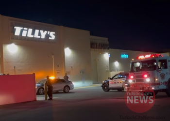 Man Sentenced to Two Years in State Prison After Lighting Two Cats on Fire