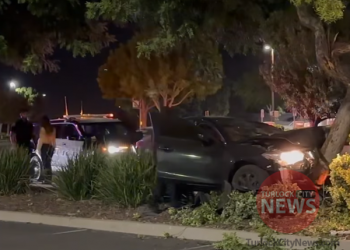 Drunk Driver Arrested After Crashing Into Tree