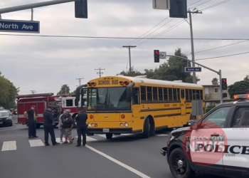62-Year-Old Woman Struck by TUSD School Bus While Lawfully Crossing Intersection