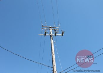 Unknown Suspect Uses Hand Saw to Cut Down Three Power Poles