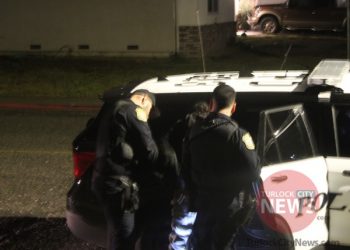 Juvenile Arrested After Running From Attempted Tire Theft Incident