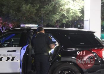 Grand Theft Suspect Arrested After Officer Recognizes Vehicle A Week Later, Multiple Warrants for Several Charges Including Animal Abuse