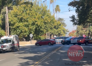 Woman Arrested for Felony DUI After Causing Collision