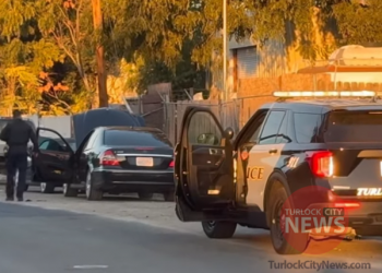 Man Wanted on Several Felonies After Reportedly Brandishing Gun and Fleeing Police