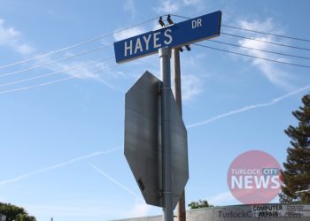 Parolee Arrested After Trespassing in Home’s Backyard