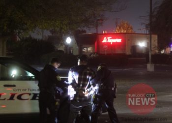 Wanted Sex Offender and Organized Retail Thief Arrested