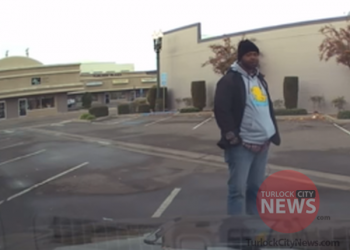 Dangerous Sex Offender With Repeated History of Reoffending Arrested, Later Released