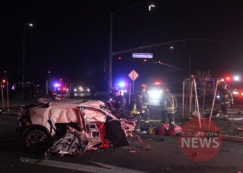 Man Injured and Dog Reportedly Dies After Suspected DUI Crash