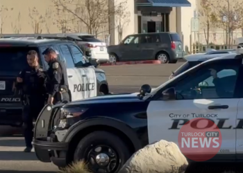 Woman Arrested After Robbing Boutique and Running Across Freeway