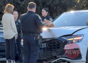 Drunk Driver Arrested After Morning Collision Into Tree