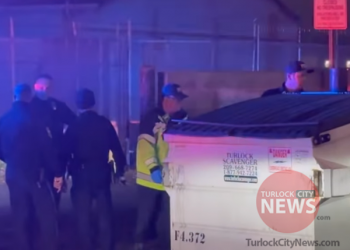 Transient Found Dead in Alley Days After Cite and Release by Jail