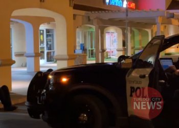 Child Molester Tased and Arrested Knife Brandishing Incident