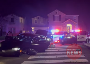 Wanted Felon Arrested After Crashing During High-Speed Pursuit