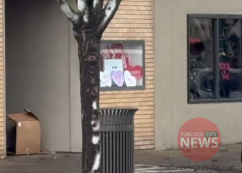 Man Arrested After Masturbating in Front of Downtown Business