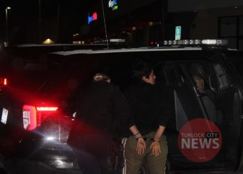 Two Arrested After Attempted Shoplifting Incident