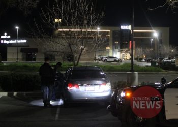 Man Arrested on Weapon and Narcotic Charges During Security Check