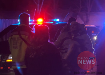 Man Bit by Police Dog and Tased After Grocery Store Assault