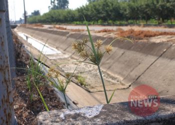 Man Arrested After Six Guns Located During Trash Dumping Call