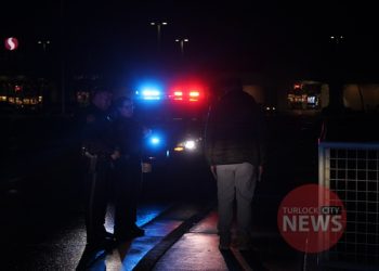 Drunk Driver Arrested After Crashing Into Curb