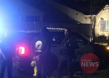 Man and Boy Arrested on Auto Theft Charges