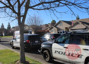 Man Arrested After Neighborhood Fight Results in One Injured