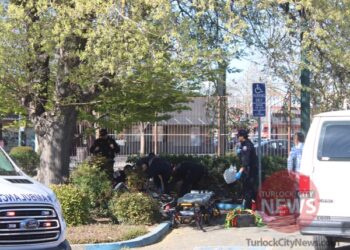 Man Dies of Suspected Overdose After Being Found Down in Bush