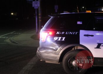 Officer Involved in Minor Collision After Driver Fails to Yield