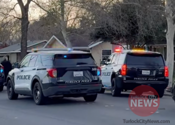 Man Arrested After Firing Gun Inside Home