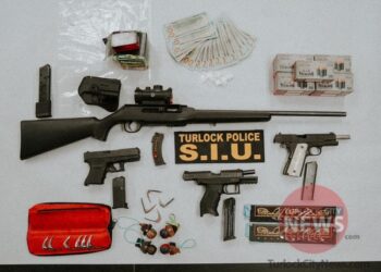 Two Arrested on Array of Felony Charges and 19 Roosters Rescued