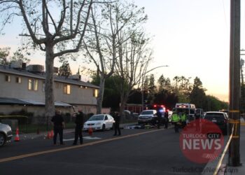 Juvenile Arrested for Murder of 19-Year-Old Outside Wayside Market