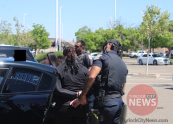 Mother and Daughter Duo Arrested After Shoplifting Together