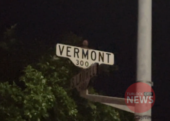 17-Year-Old Arrested After Parents Find Stolen Gun