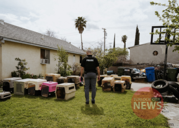 73 Dogs Rescued From Three Homes