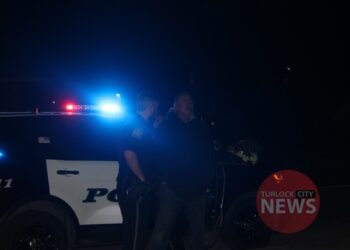 Man Arrested for Attempted Murder in Donnelly Park Stabbing