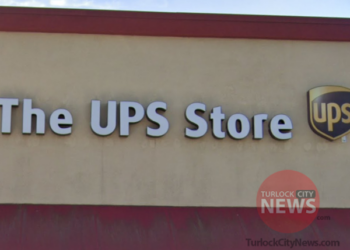 Elderly Woman Injured During Purse Robbery