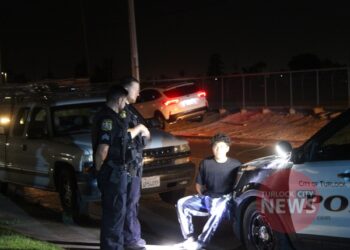 Teen Couple Arrested for Auto Theft and Battery