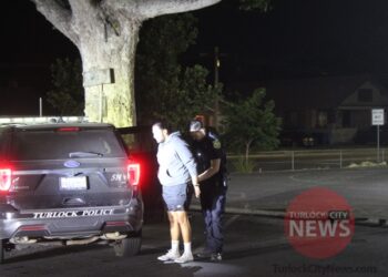 Man Arrested After Reportedly Throwing Firework at Victim and Vehicle