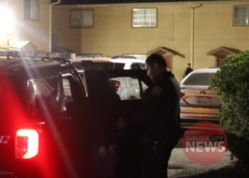 Woman Arrested on Felony Child Abuse Warrant