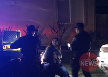 Repeat Drunk Driver Arrested After Crashing Into Roundabout