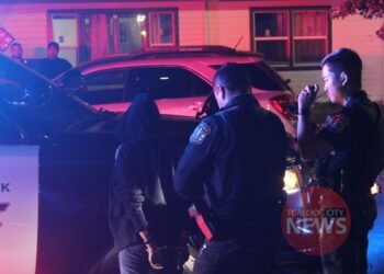 Woman Arrested on Warrant After Shoplifting