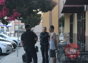 Wanted Shoplifter Arrested After Impersonating Brother