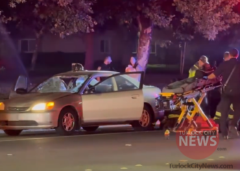 Pedestrian Nearly Goes Through Two Windshields After Being Hit