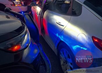 Man in Stolen Vehicle Arrested After Ramming Deputy’s Vehicle